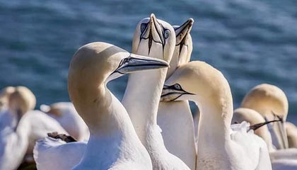 这脚潇洒!罗竞禁区外扣过防守轰出穿云箭,玉昆主场取得领先