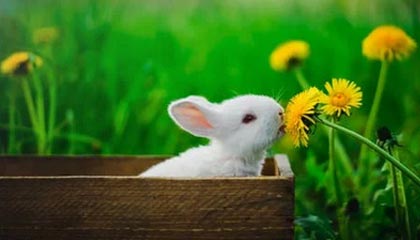 这脚潇洒!罗竞禁区外扣过防守轰出穿云箭,玉昆主场取得领先